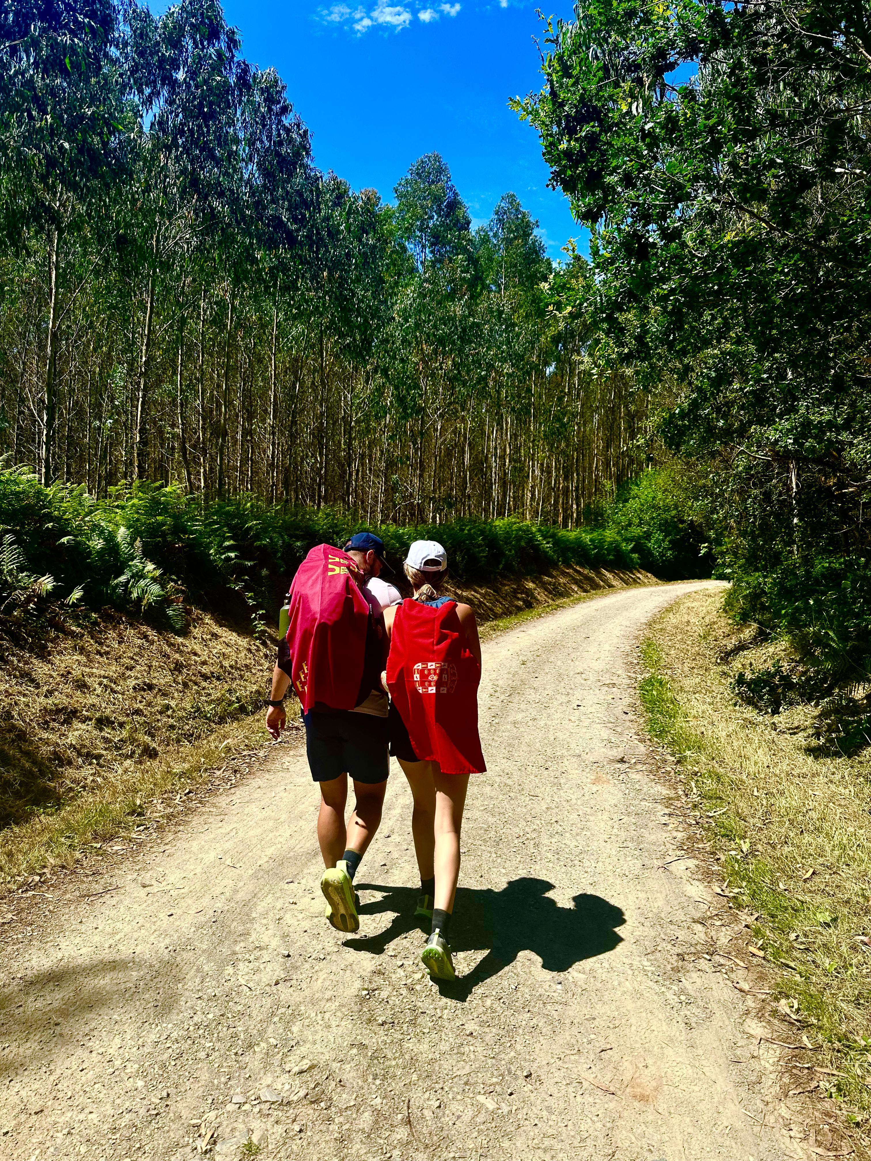 Camino de Santiago
